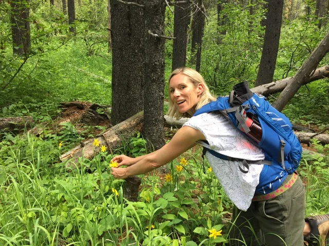 How to Make a Medicinal Oil