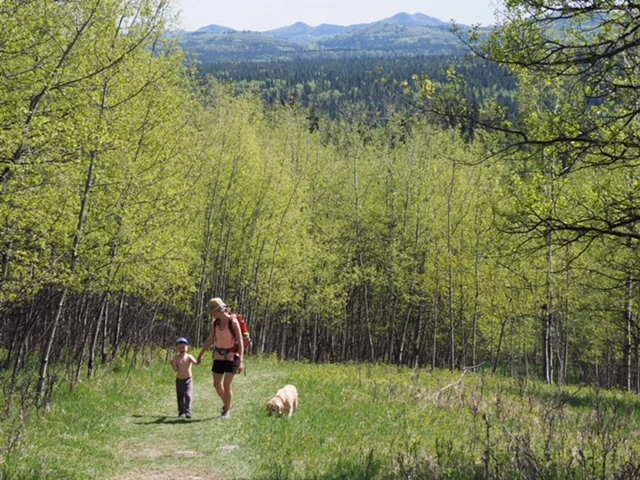 How Nature Can Inspire Your Inner Poet