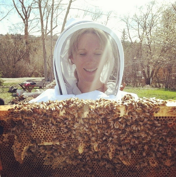 My bees!