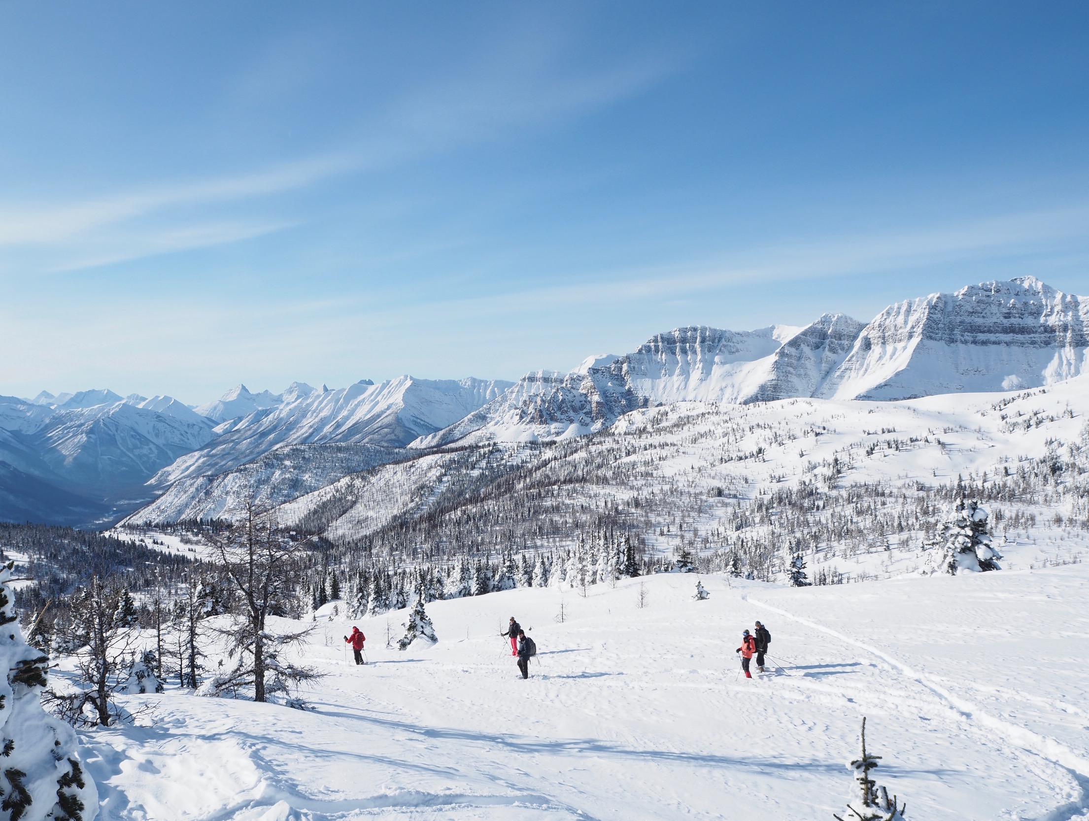 Sunshine meadows
