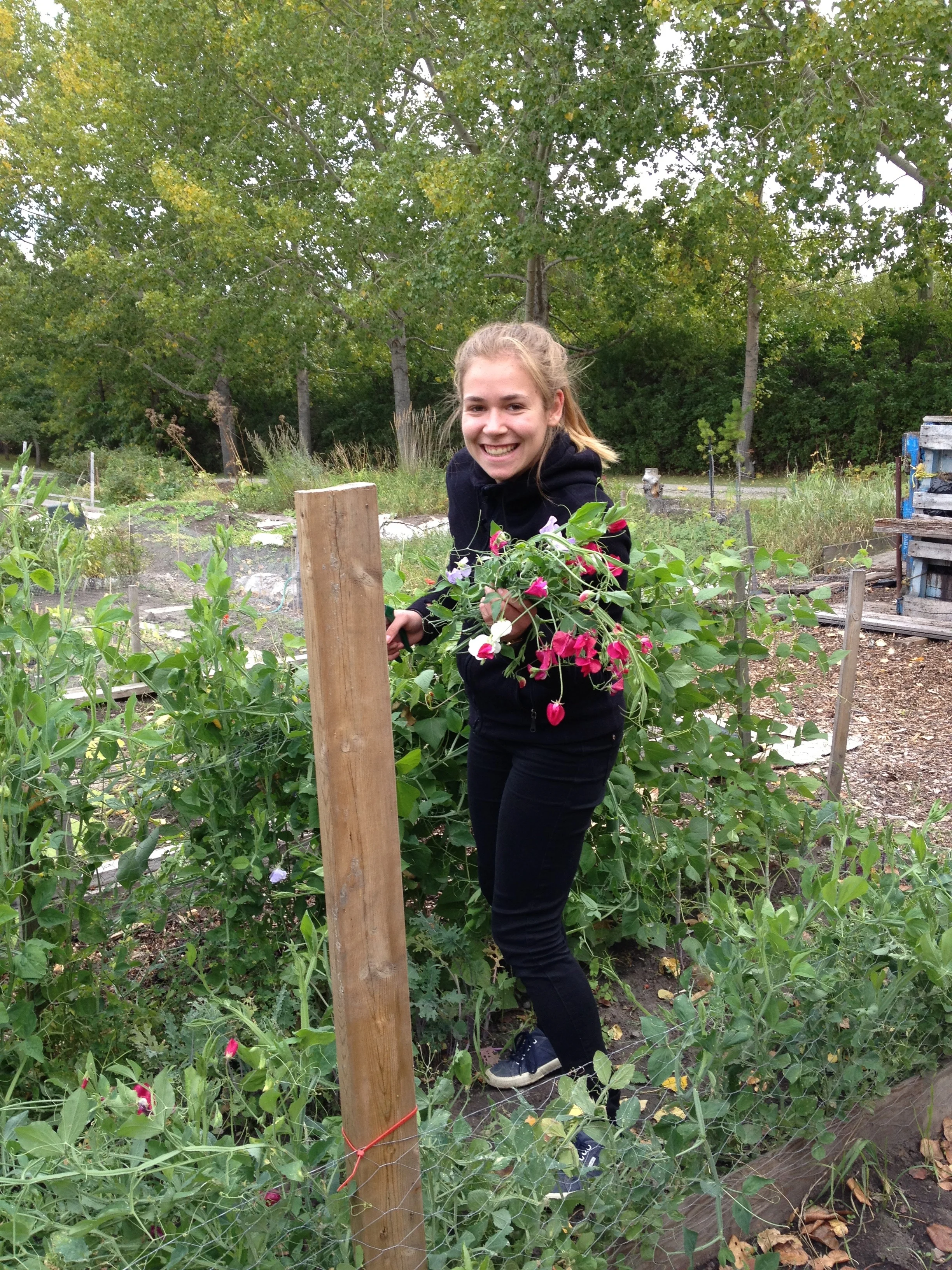 Hanna, our german WWOOFer (willing worker on an organic farm) - we didn't have a farm but we are pretty farm-ish folk, so it all worked out 