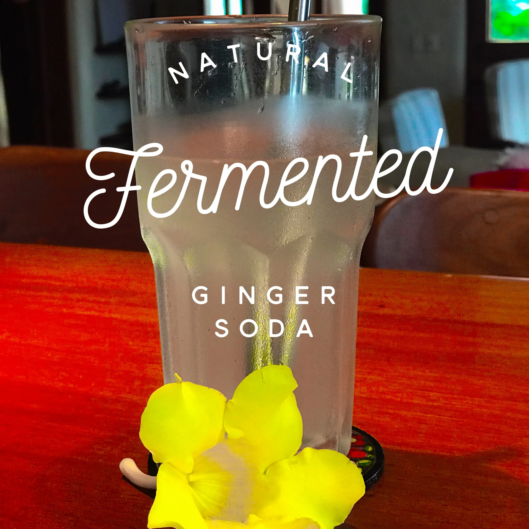 Natural Ginger Soda