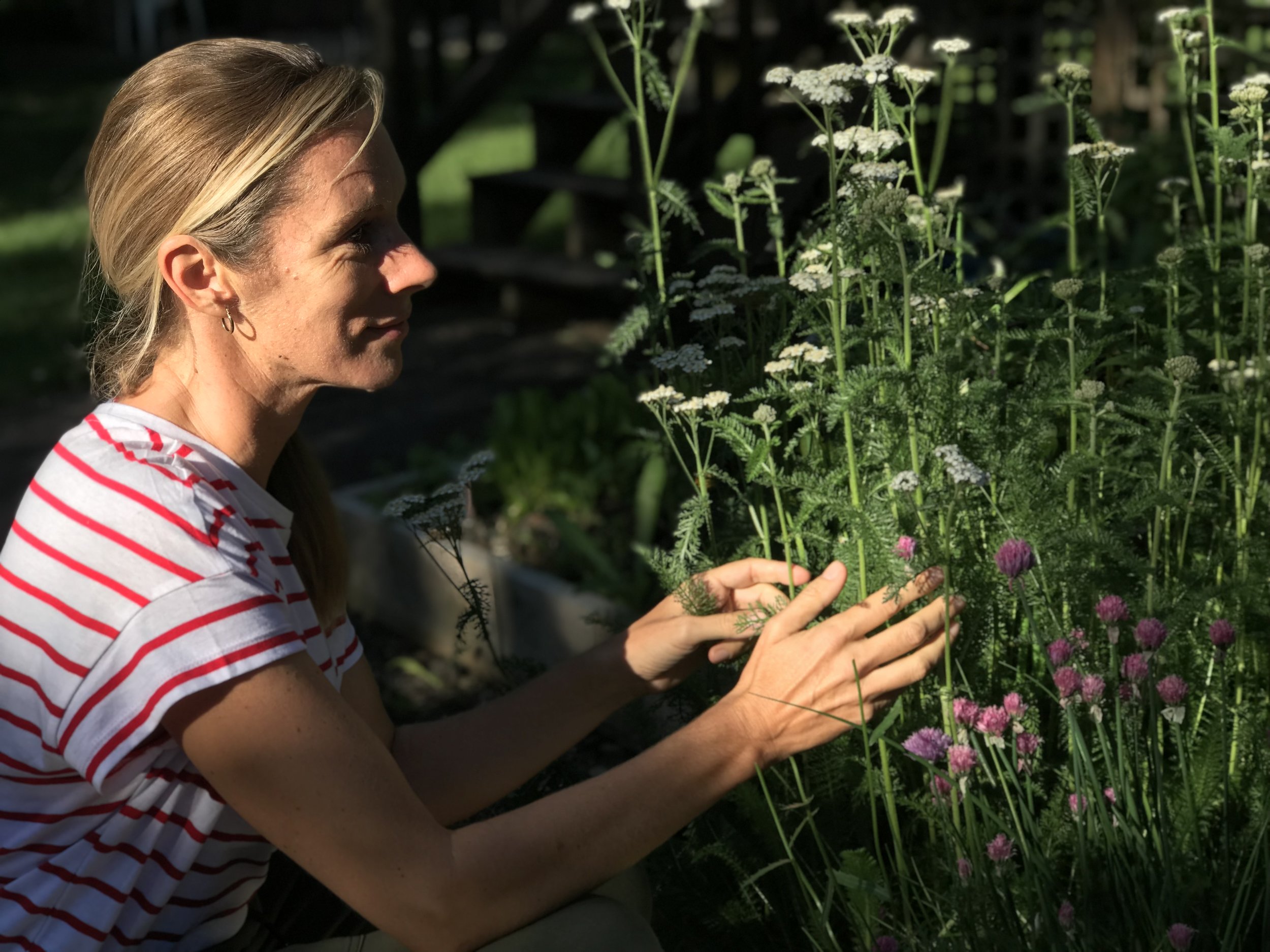 In the garden
