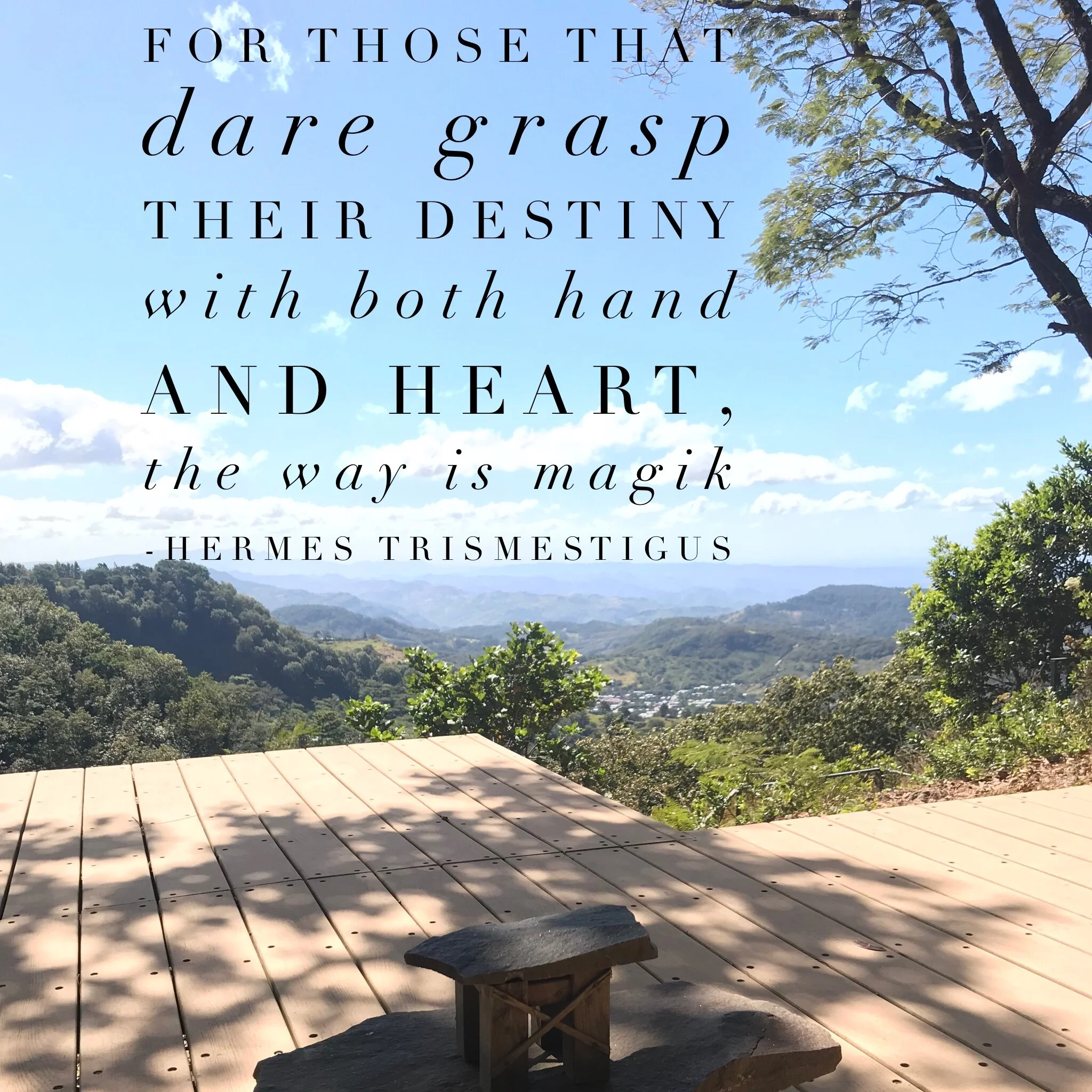 Bring Your Body Out Into The Landscape