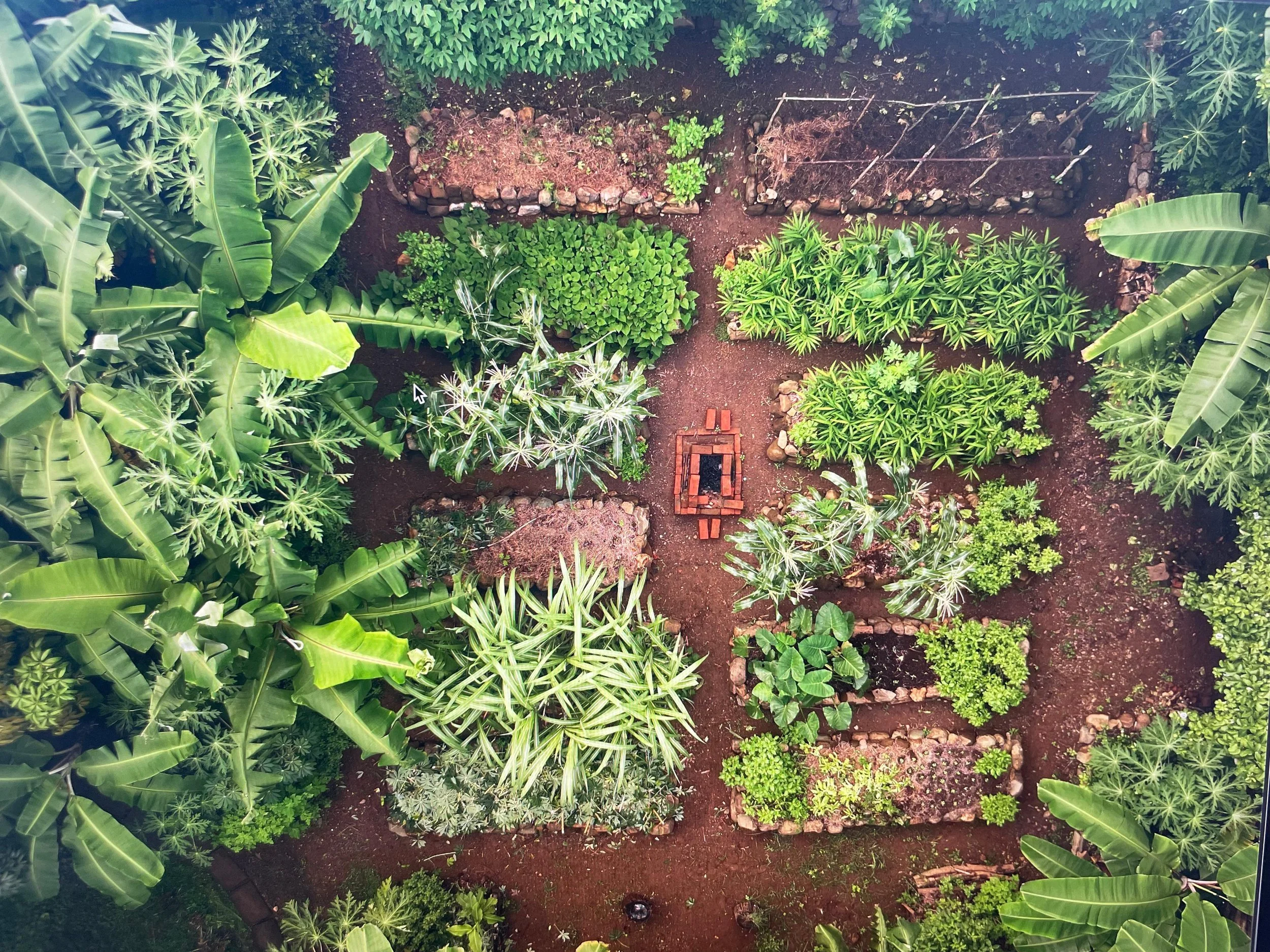 birdseyeveggarden.jpg