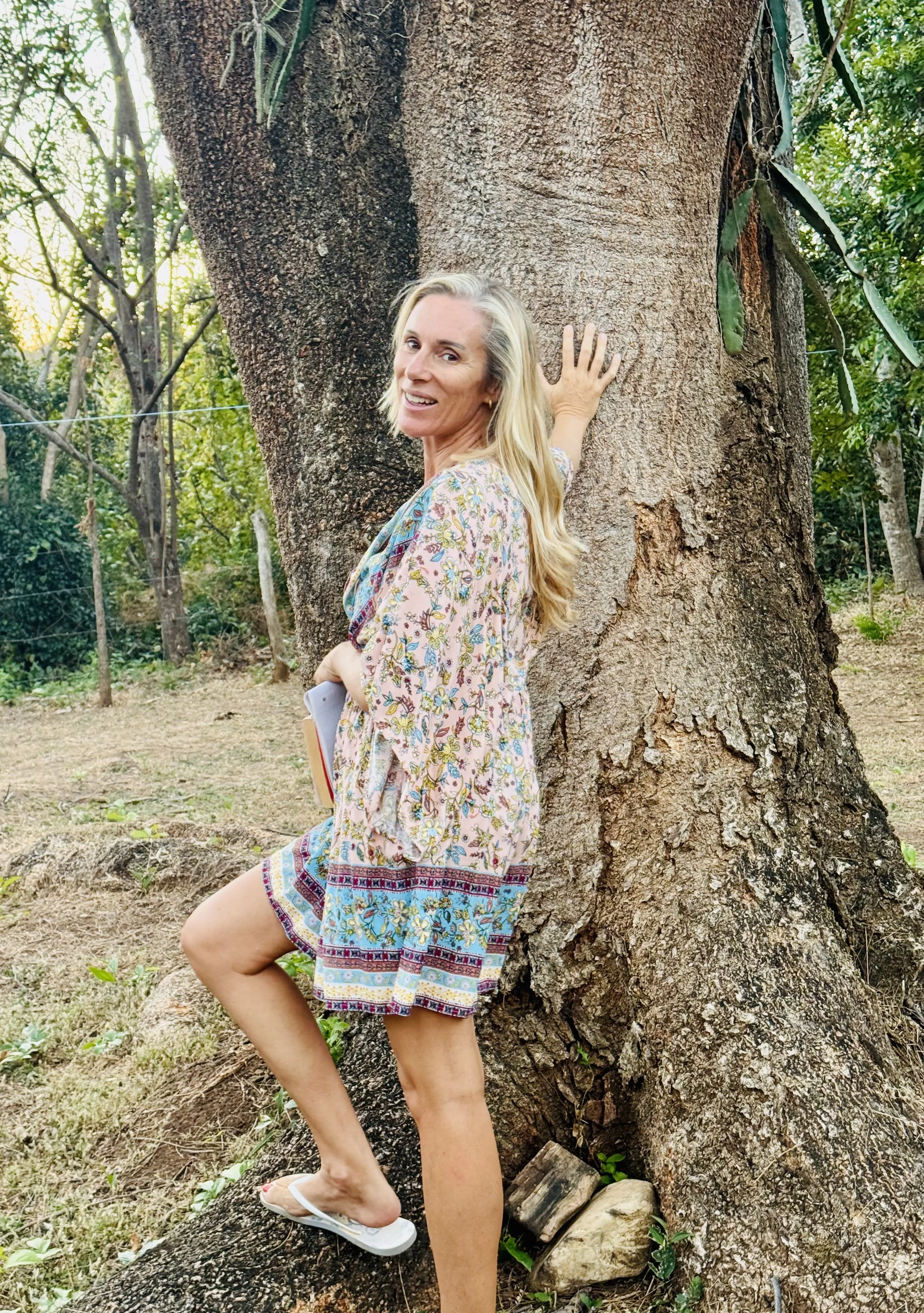 The Home Tree