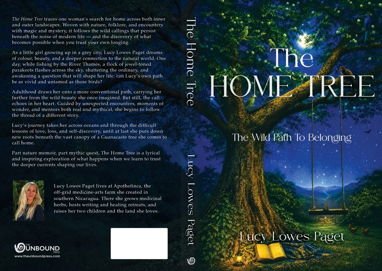 The Home Tree - Coming October 5th 2026, Preorder Now