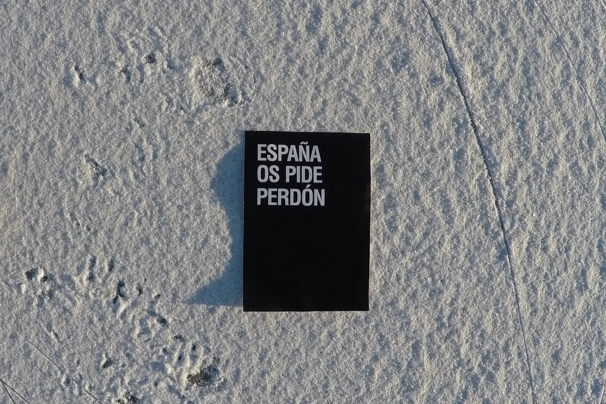 image-asset.jpeg.png