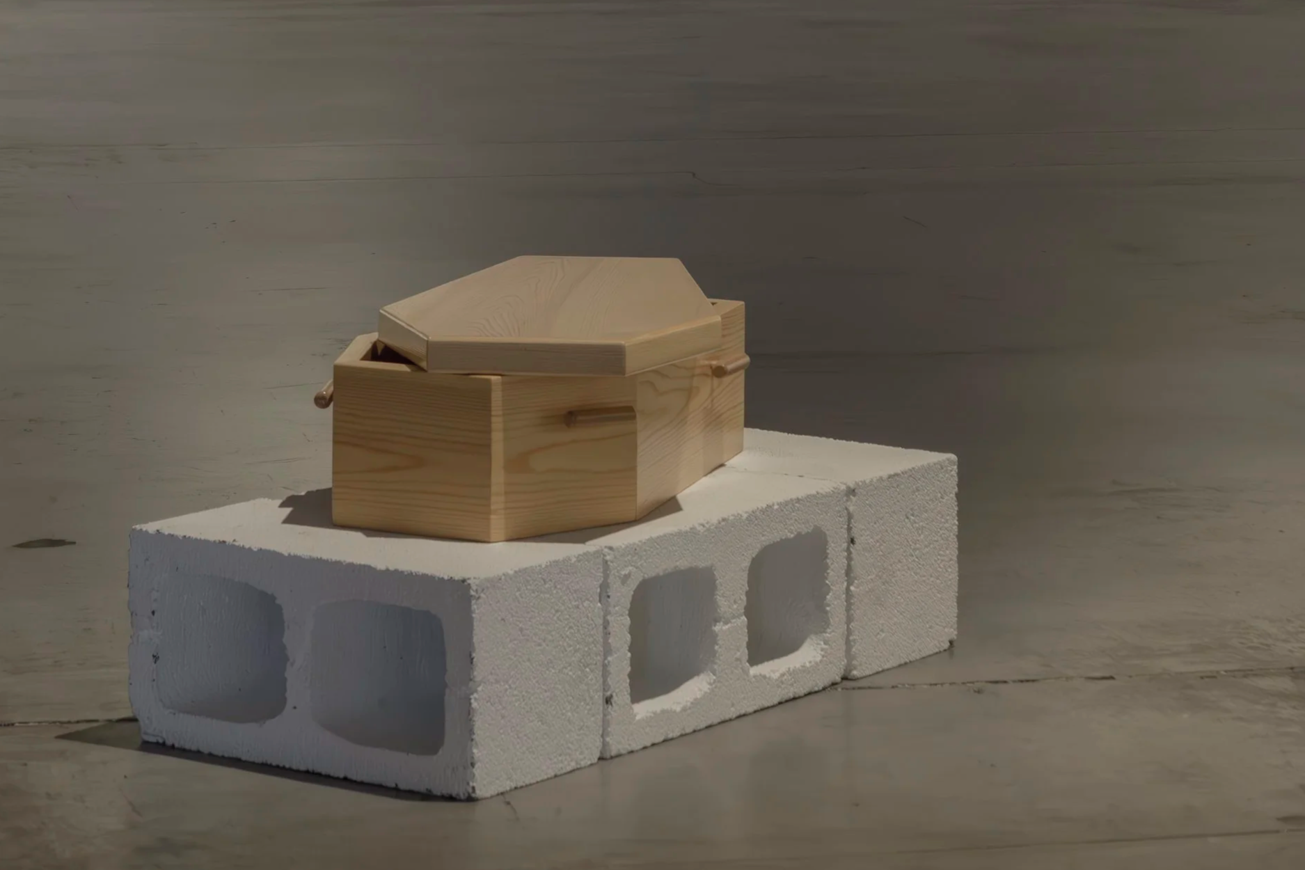 Fotos_EXPO_Abel Azcona_CCMH_2025_397_BAJA.png