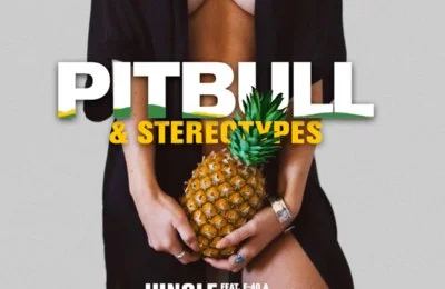 Pitbull, Stereotypes - Jungle (Lyric Video) ft. E-40, Abraham Mateo 
