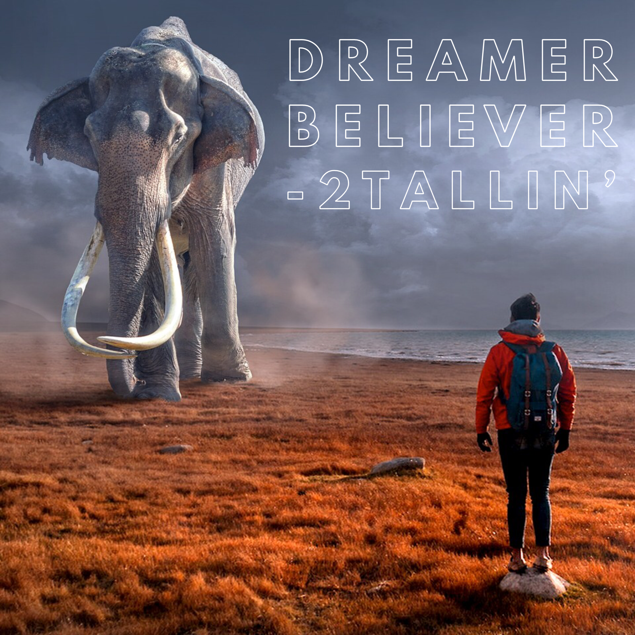 2TALLIN' - DREAMER BELIEVER