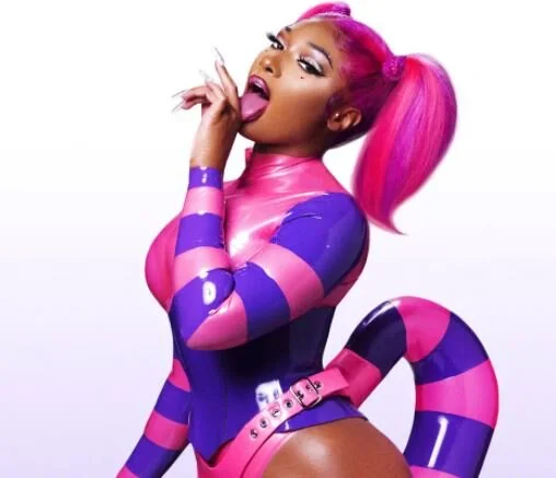 Megan Thee Stallion - Don’t Stop (feat. Young Thug) [Official Video]
