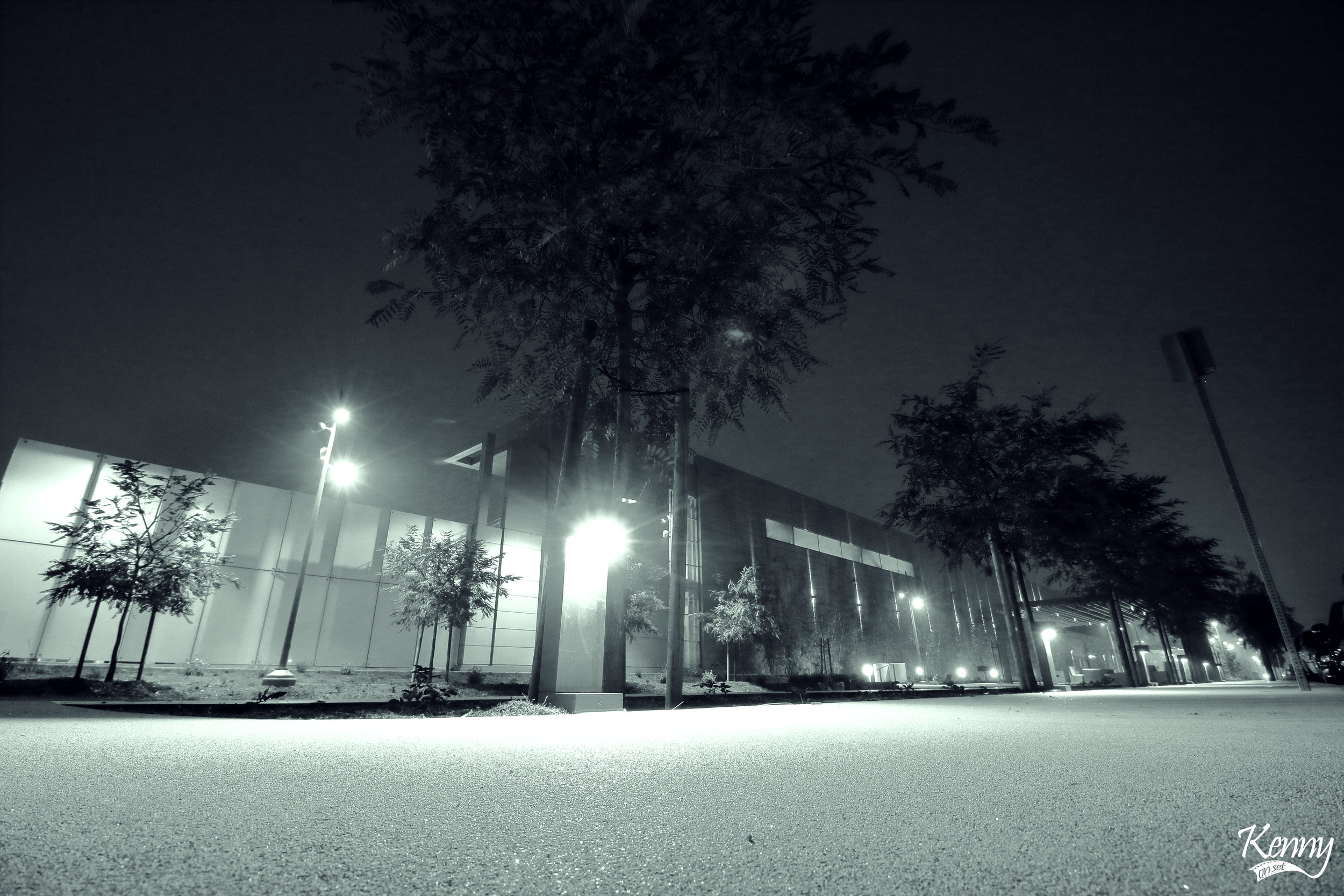 week-11-split-tone_33333852711_o.jpg