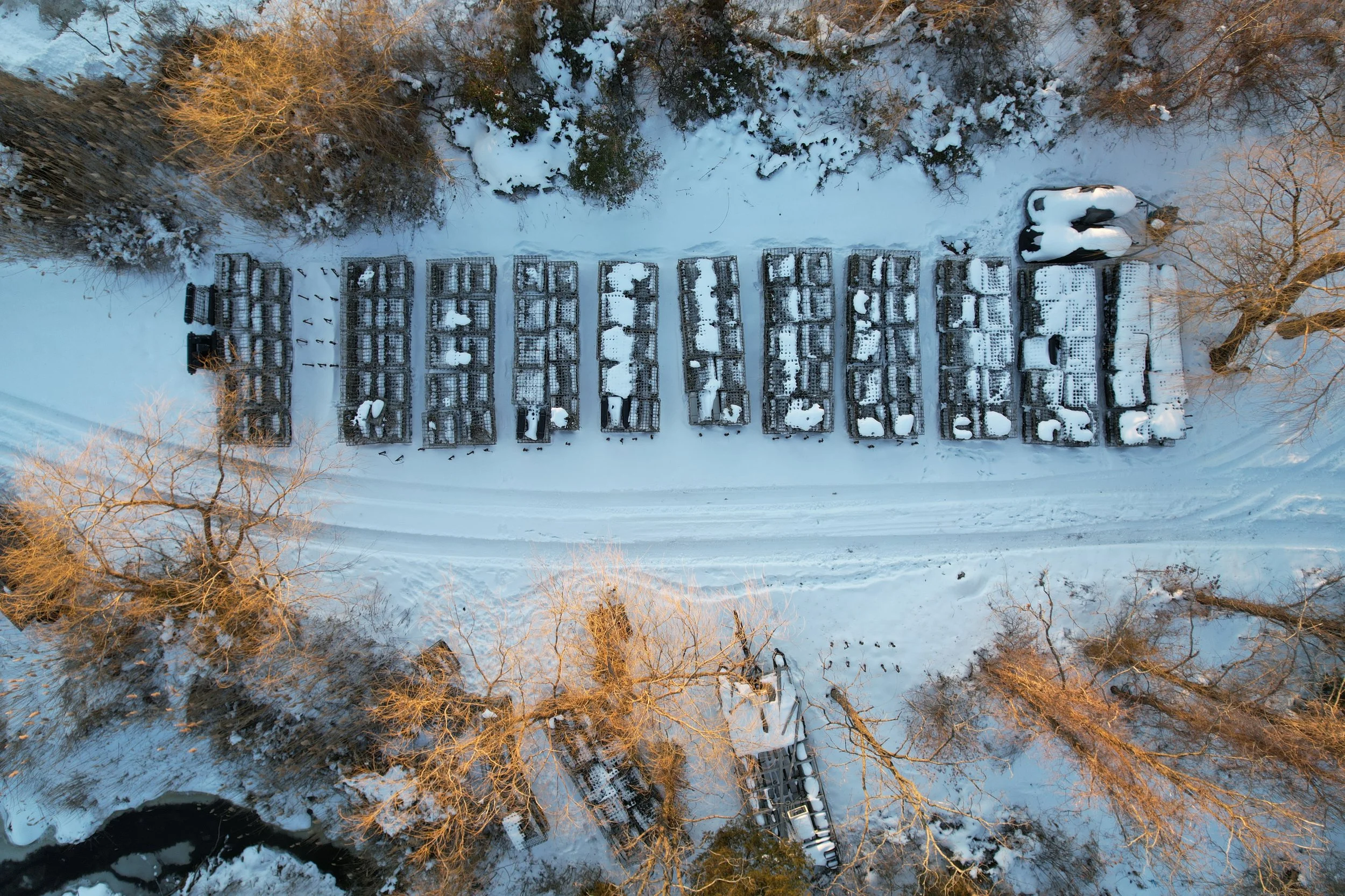 DJI_0645.JPG