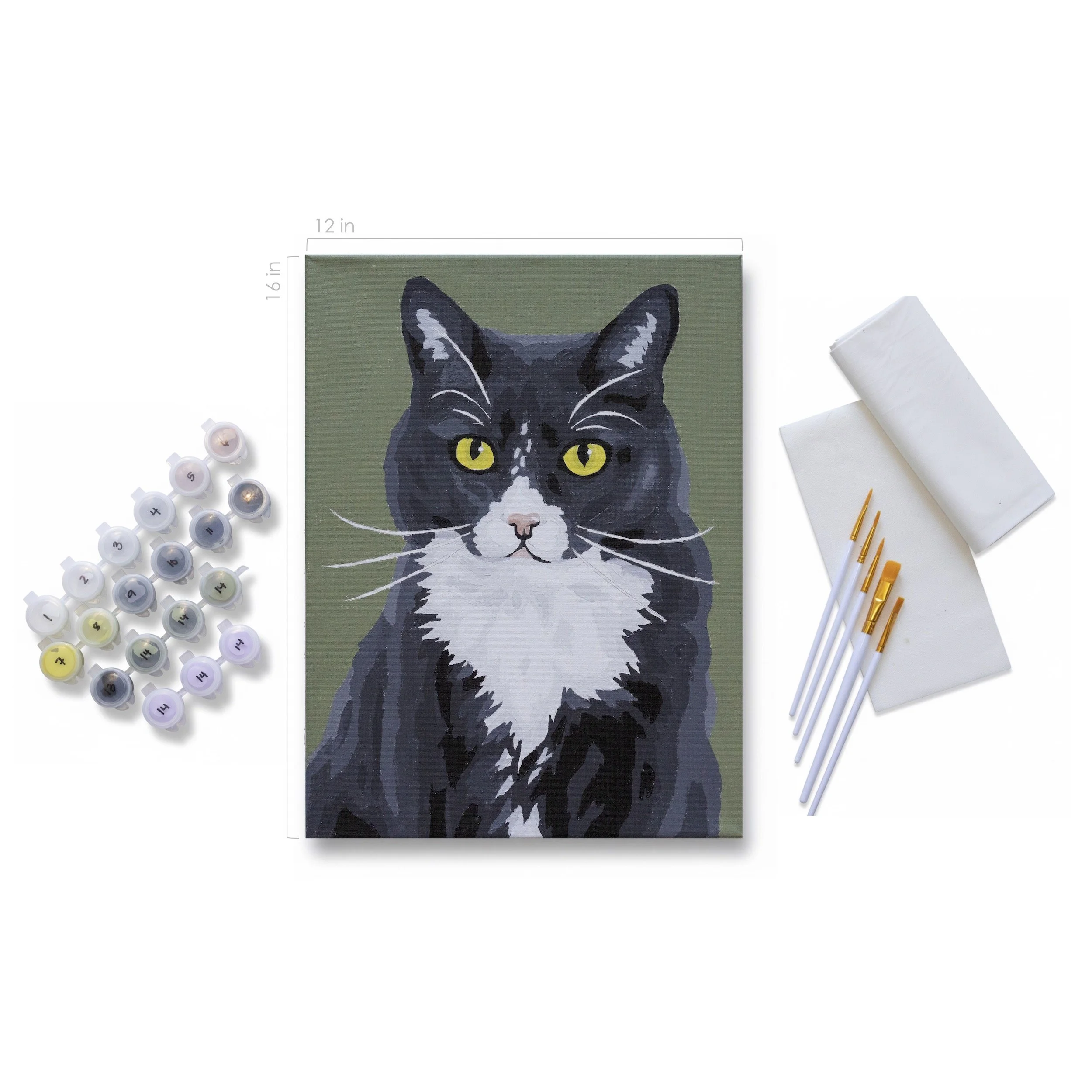 CAT-1021_f.jpg