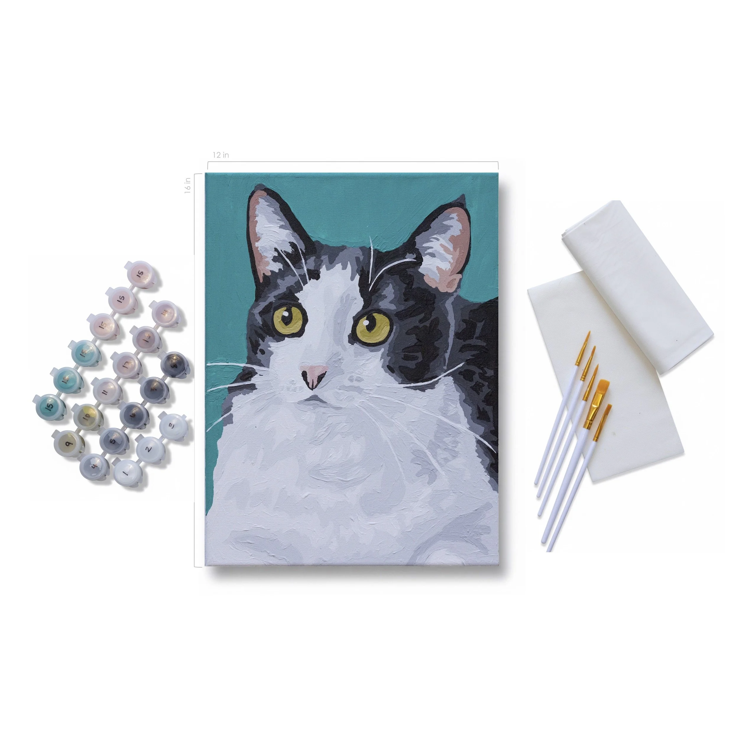 CAT-1022_f.jpg