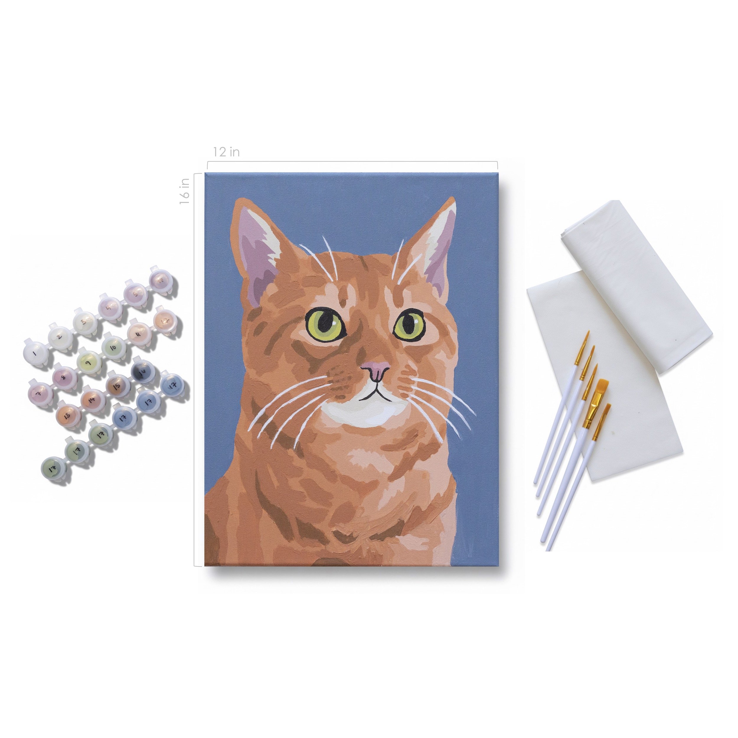 CAT-1023_f.jpg