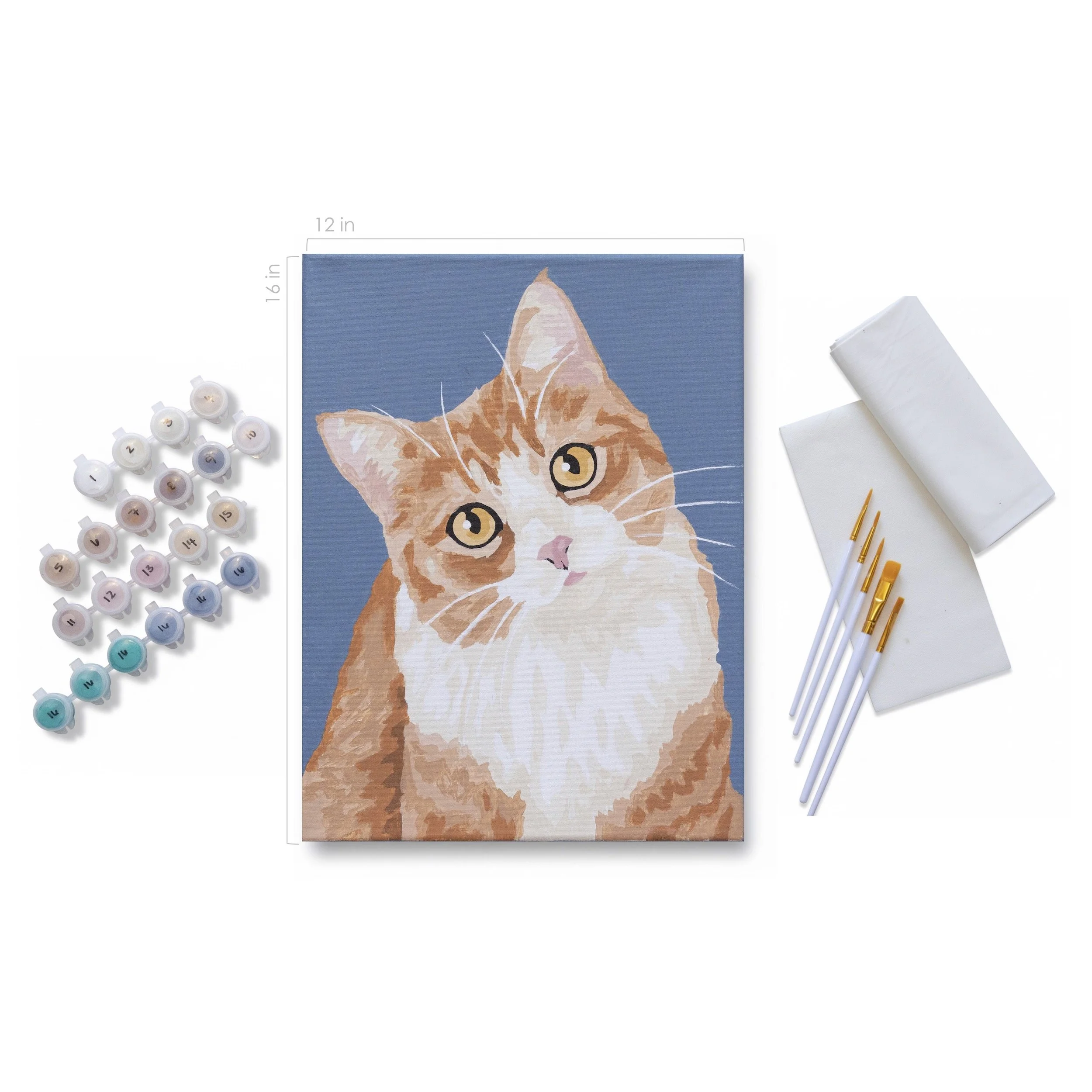 CAT-1024_f.jpg