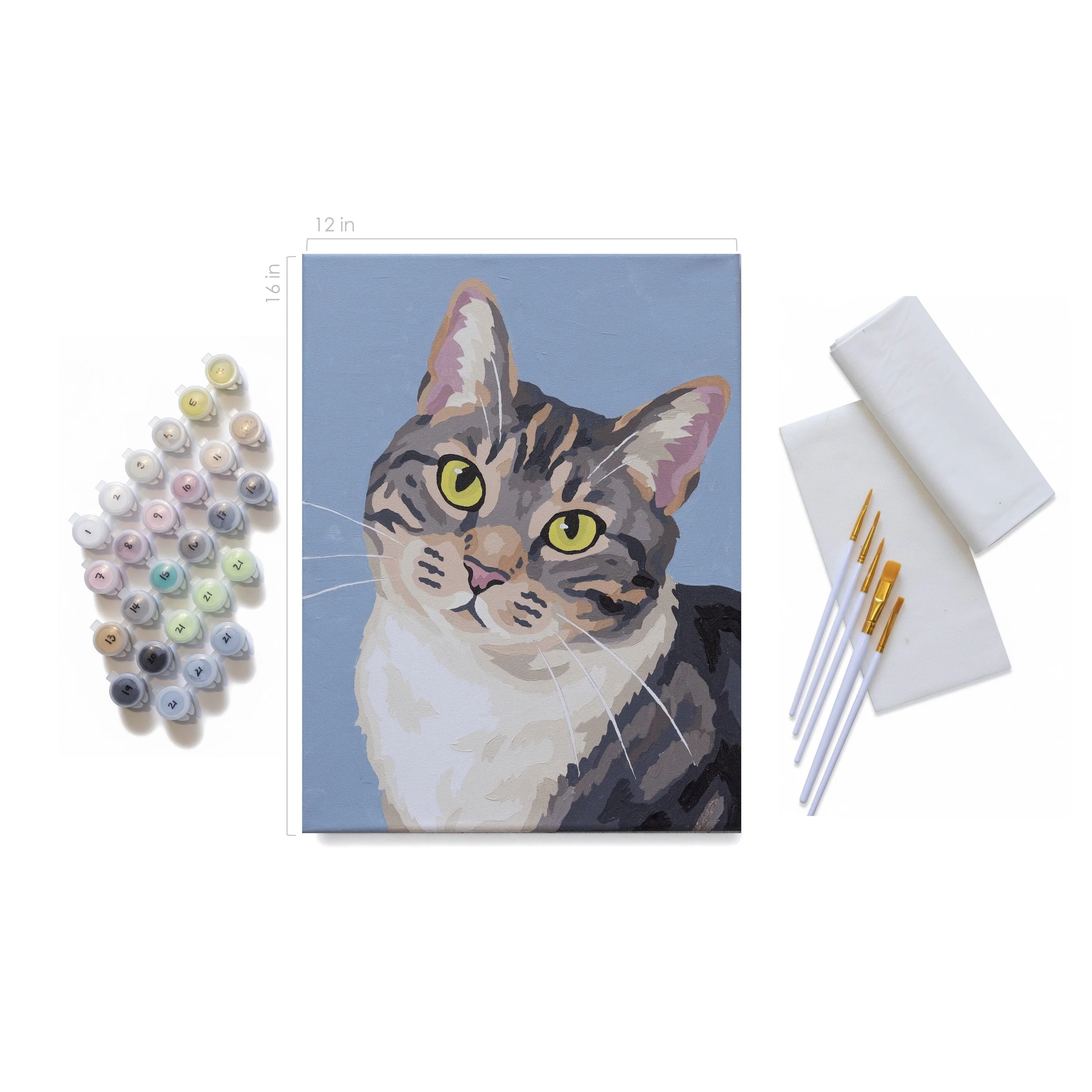 CAT-1025_f.jpg