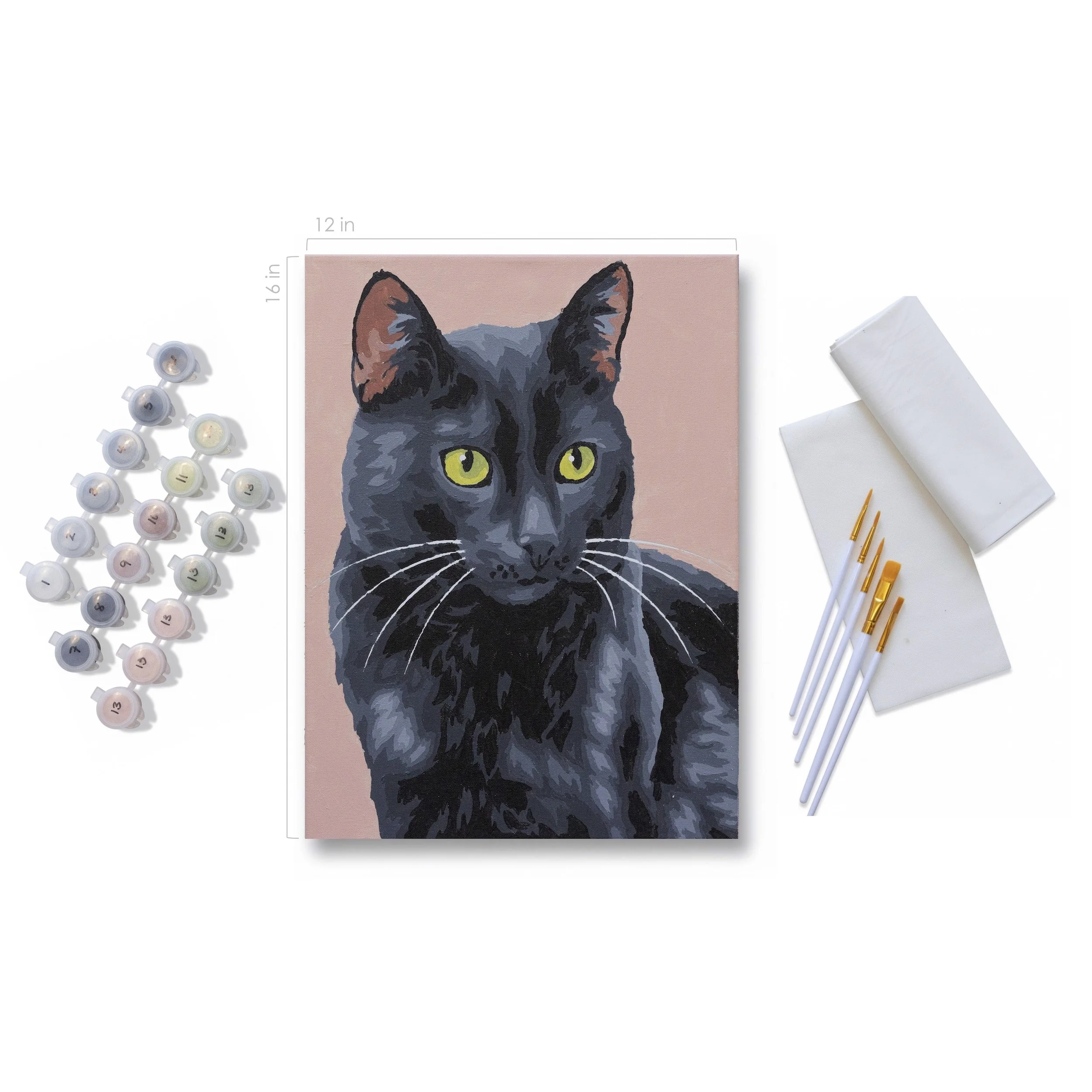 CAT-1026_f.jpg