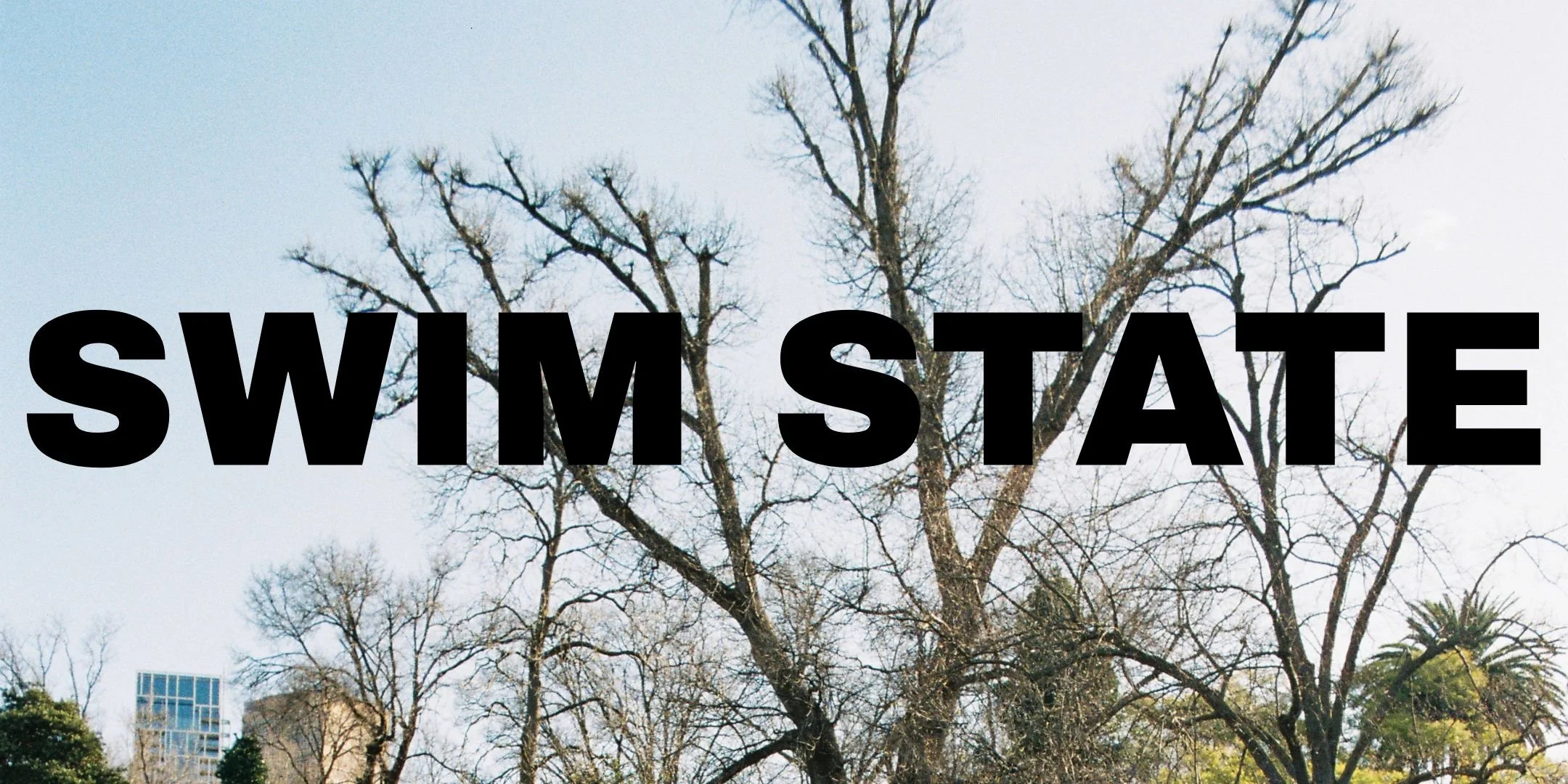 Swim State and Friends