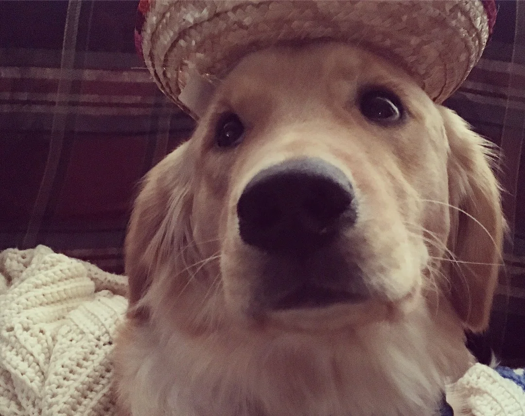 Sam is concerned about his new sombrero