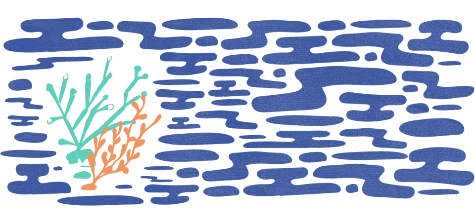 Gif to accompany information about unwanted algae.