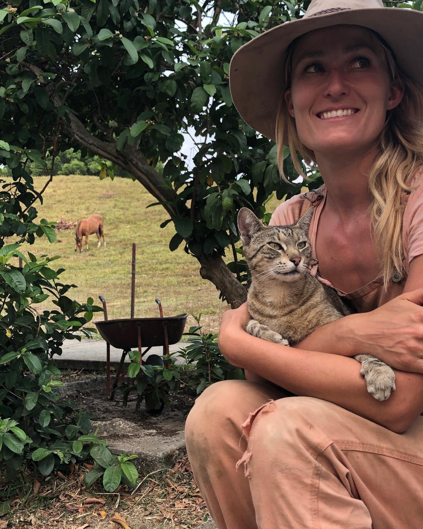 💐We love y&rsquo;all! 💐

🌳It&rsquo;s been an incredible year here at our Wild Tracks farm in the Pocket... with the help of our therapy cat Weirdo, dog Oddball 🐶, and team of brumbies Zulu, Naas, Tumbarumba Jagumba... the rest of the herd... Cal,