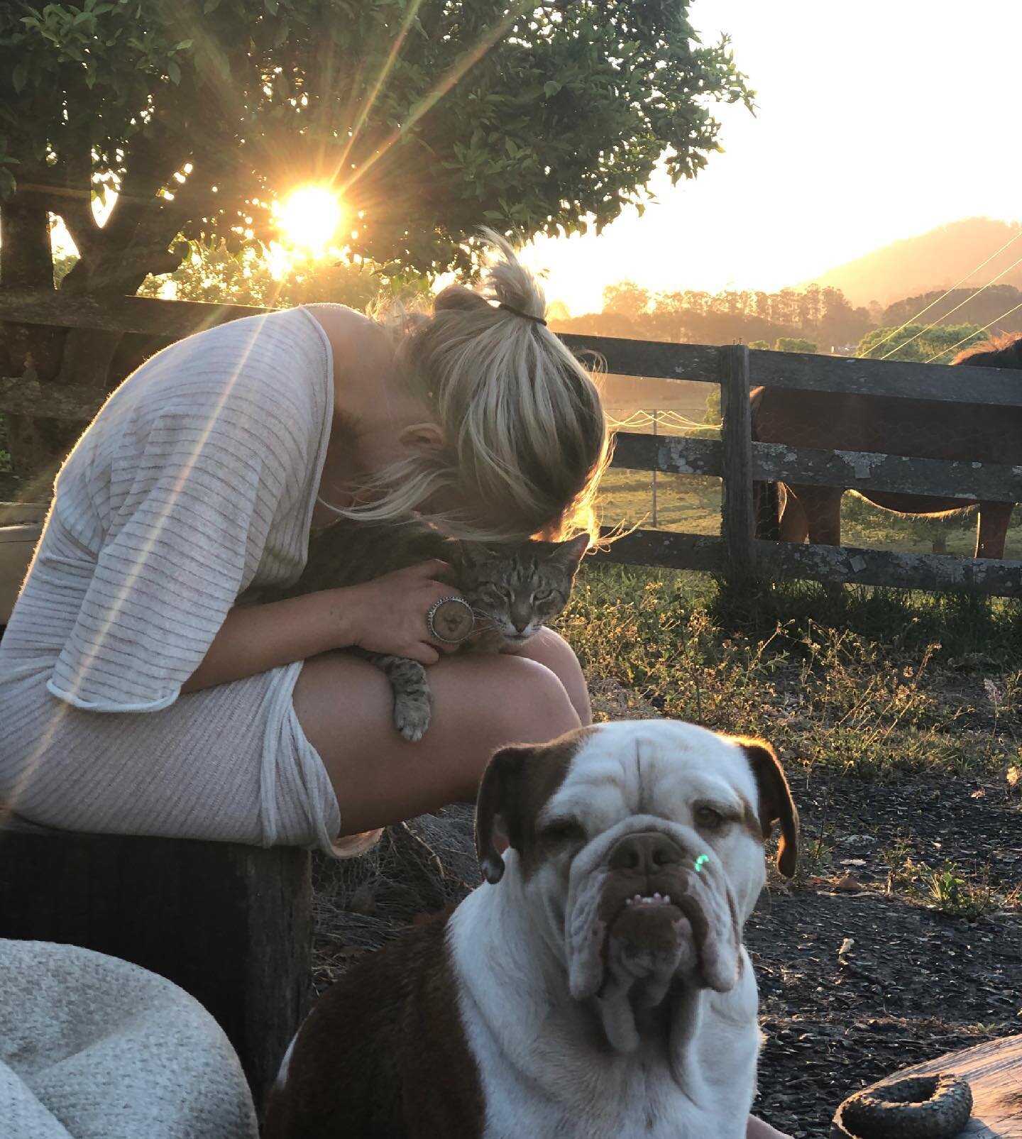 A scene from our farm with @venus.russo, Weirdo and Oddball 💕🌺

We wouldn&rsquo;t be the amazing farm we are without our therapy dog Oddball and therapy cat Weirdo! 🐈🐶

Weirdy really really helps visitors de-stress, especially neurotypical childr