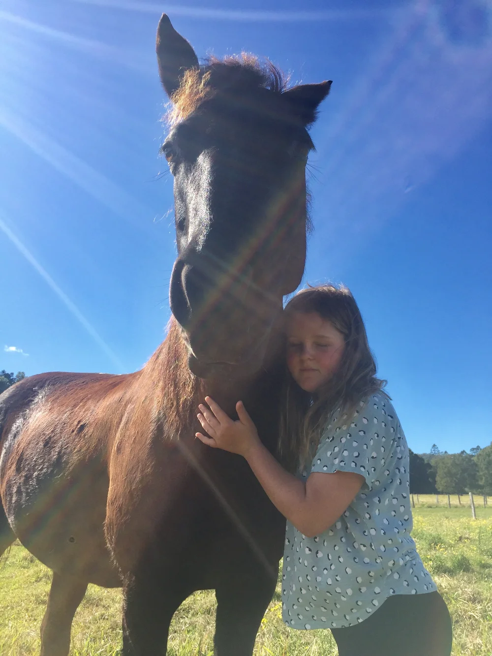 Equineassisted Therapy — Byron Bay Equine Therapy & Psychology