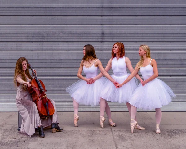 Raison D'être Dance Project TEDxBozeman Performance: Trinity Dance Performance Raison D’etre Dance Project was founded in 2017 by Erin Levy and Genevieve Trygstad-Burke in order to foster collaboration between musicians, artists, dancers and choreographers. The mission of Raison D’etre Dance Project is to create innovative professional dance productions that inspire a love and appreciation of dance and music in the community.