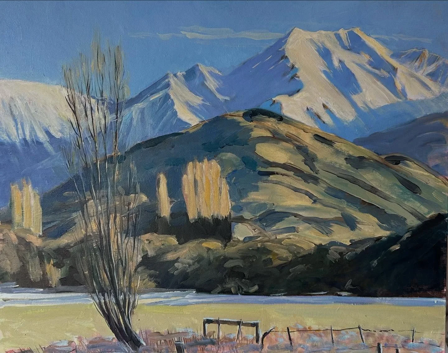 Near Wānaka #oil#pleinair and studio #landscape #otago #southisland #newzealand #lovepainting🎨