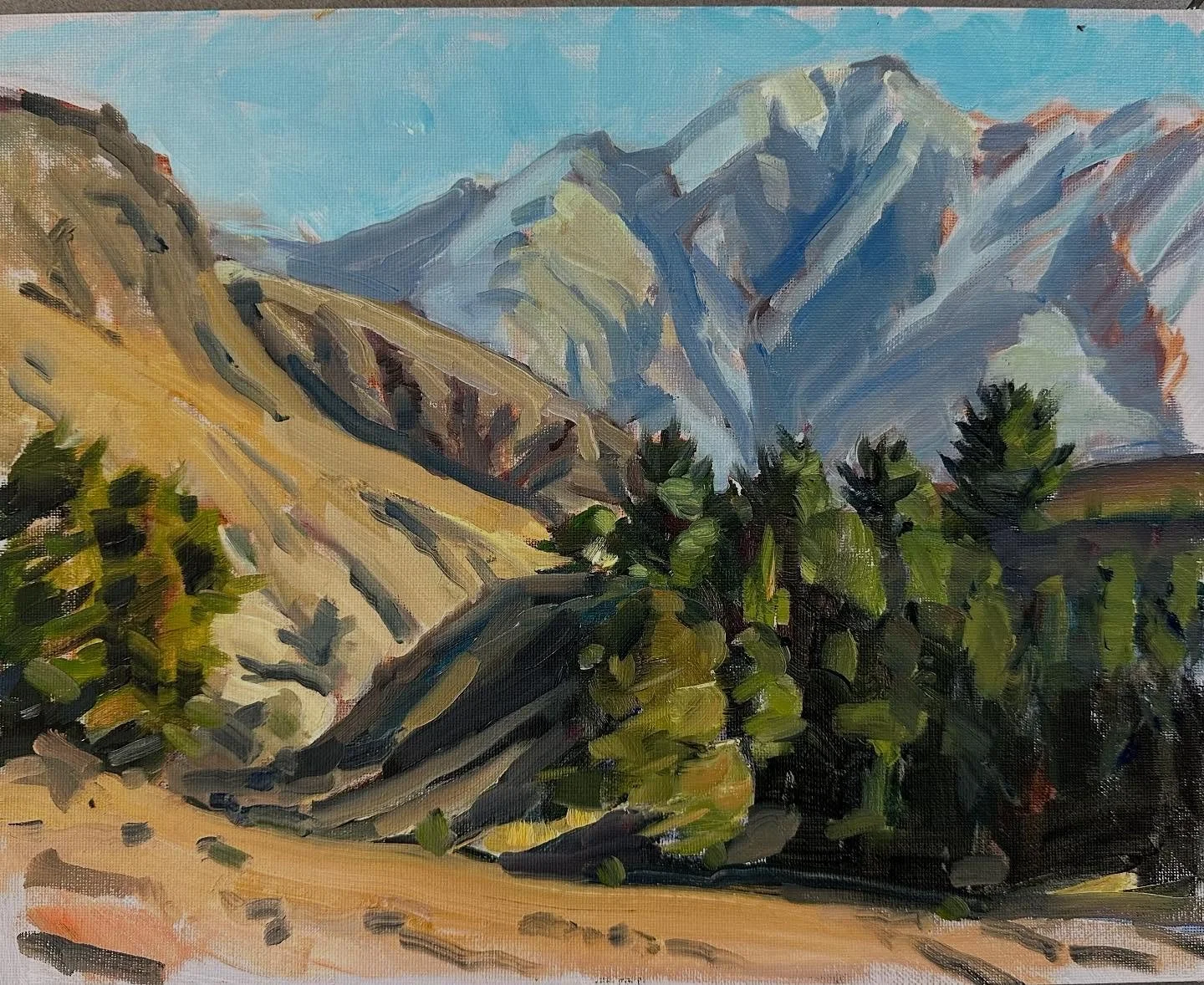 Afternoon paint from the reserve Tuckers Beach Road Queenstown #pleinairpainter #oil #Newzealand #lovepainting🎨