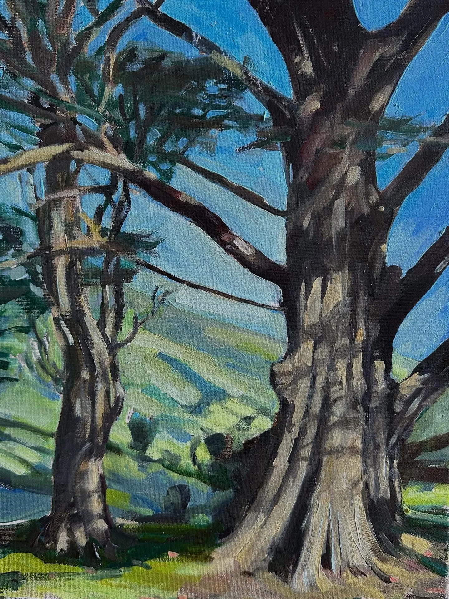 A few little paintings painted en pleinair from around our house and a friends farm(trees) #oil#Akaroa#Christchurch#canterbury#southisland#newzealand #lovepainting🎨