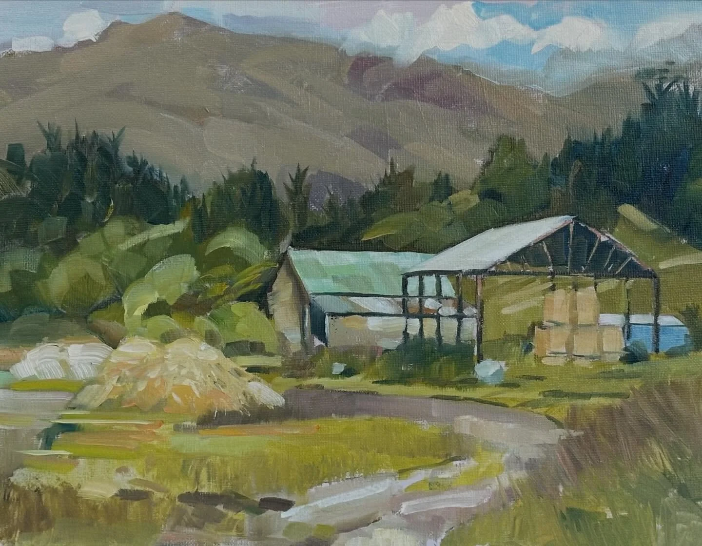 My last painting for 2025xa favorite spot in Queenstown. Oil on board South Island.New Zealand. Lovepainting🎨
