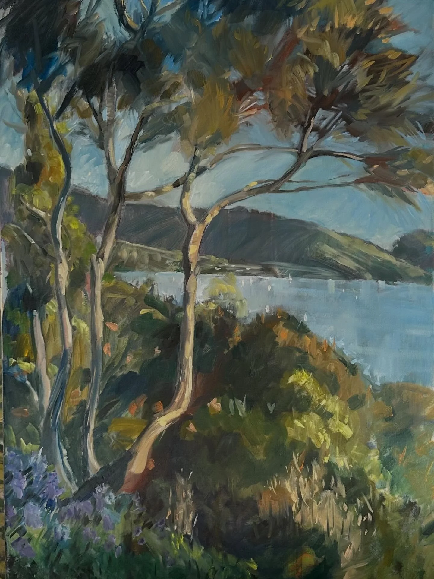 Loving these twisty Kanuka. Our view towards the pretty village of Akaroa. Oil on board land and seascape.South Island of New Zealand summer in the south. Love painting🎨
