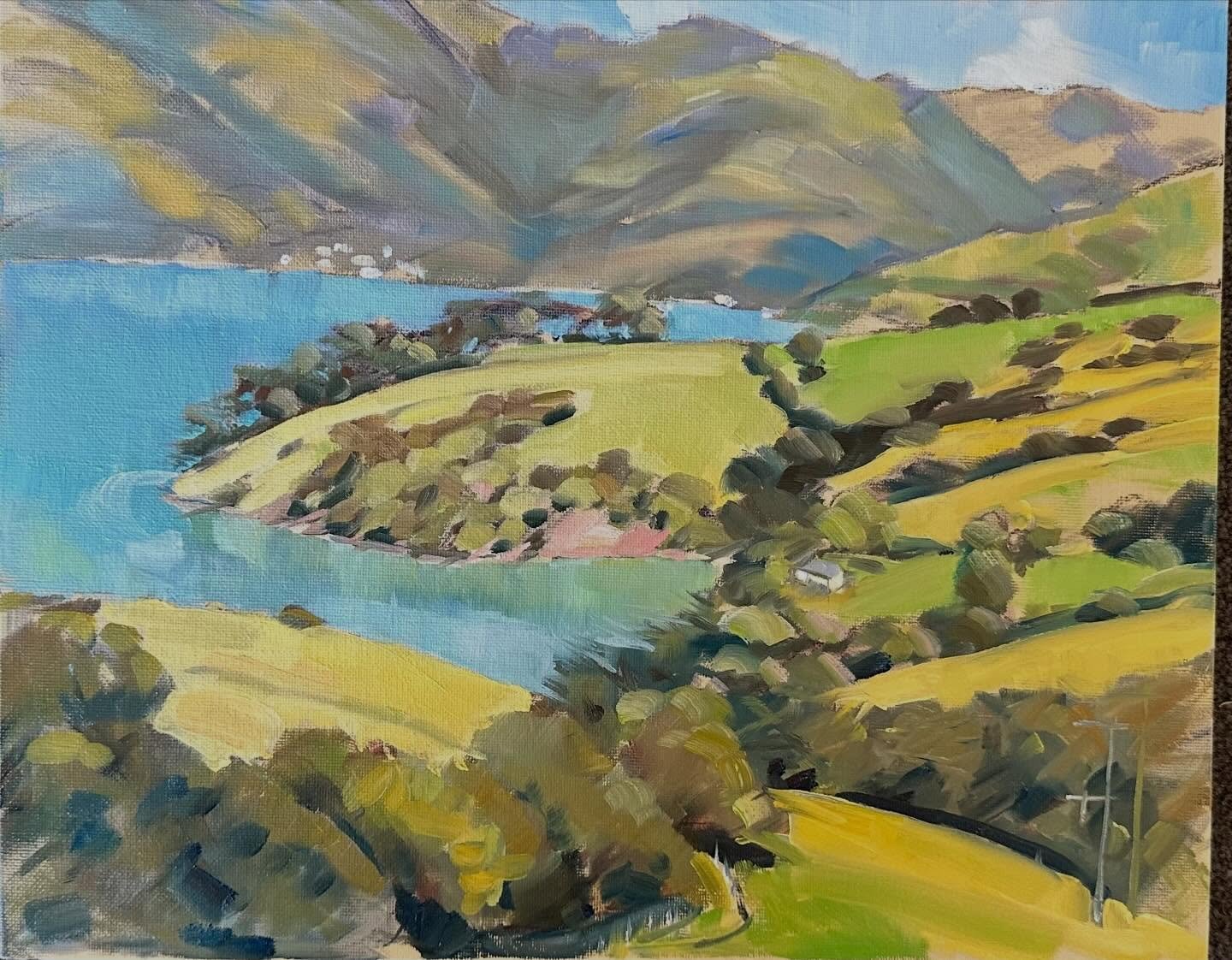 Today on Old Coach Road Akaroa. Pleinair oil on board sunny day South Island Newzealand. Lovepainting🎨