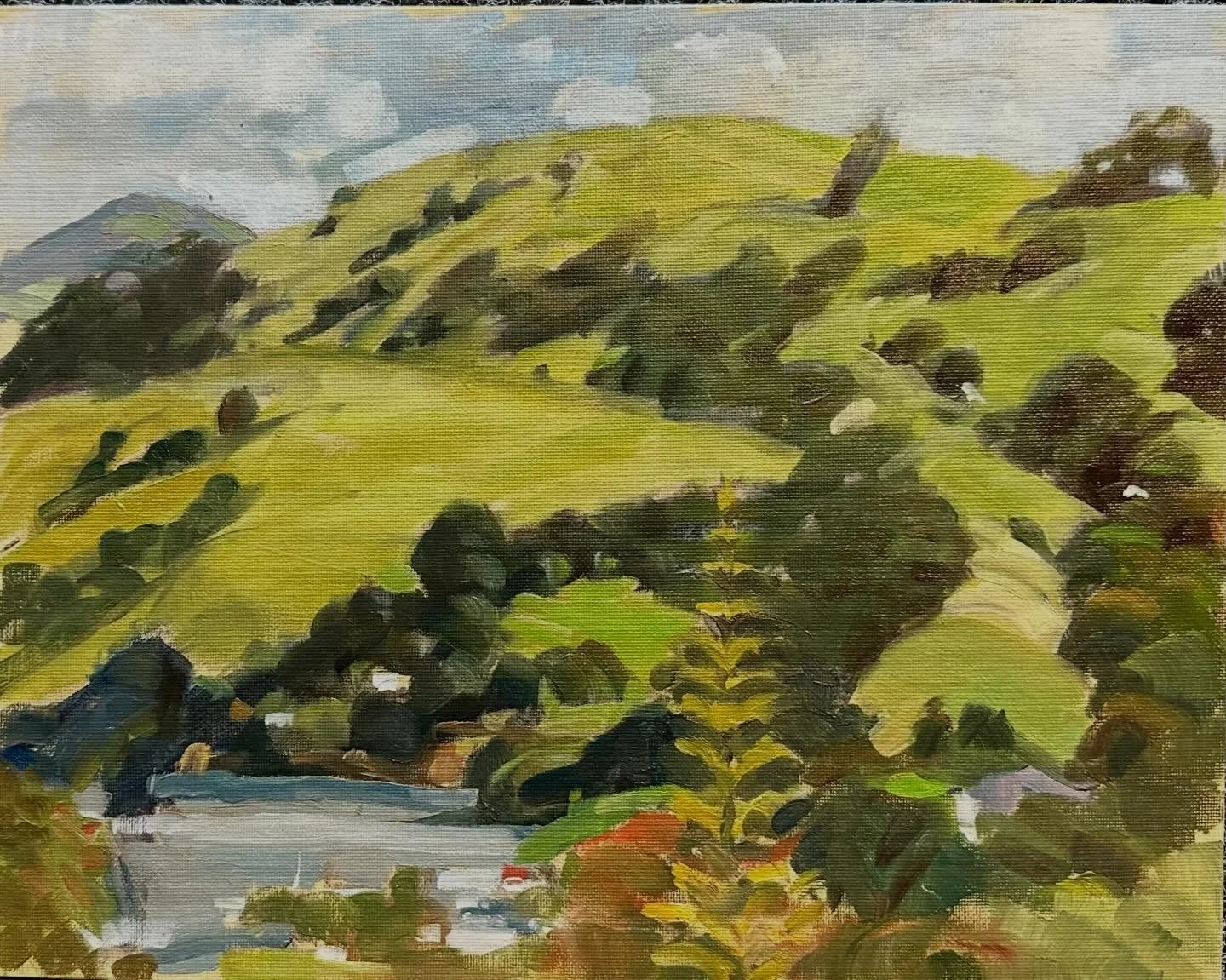 Pleinair paintout at Hilary and Richard&rsquo;s house last week before the wind picked up. Akaroa Christchurch, South Island NZ love painting🎨