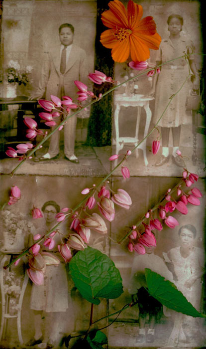 albert_FamilyPortrait.jpg