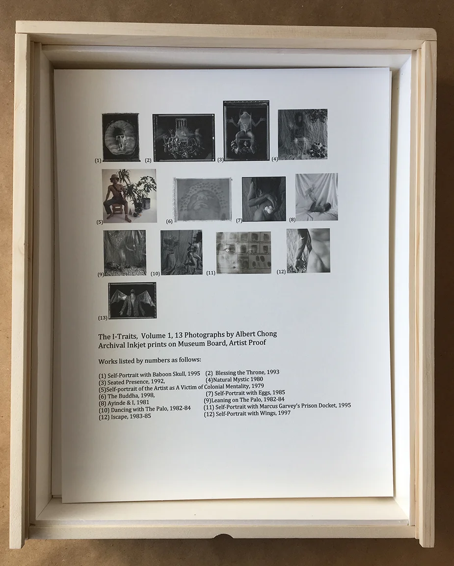 Photo Index of Works in the I-Traits Portfolio