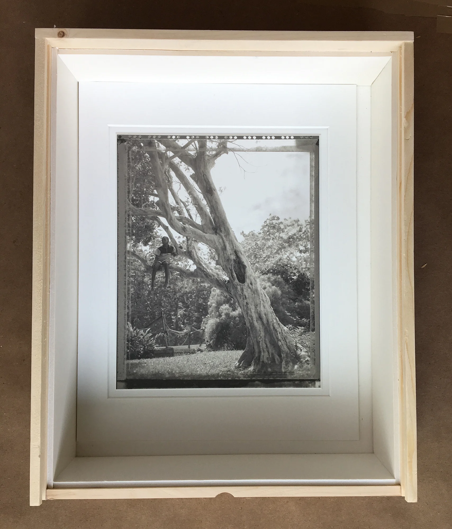 Jahe in the Pimento Tree,