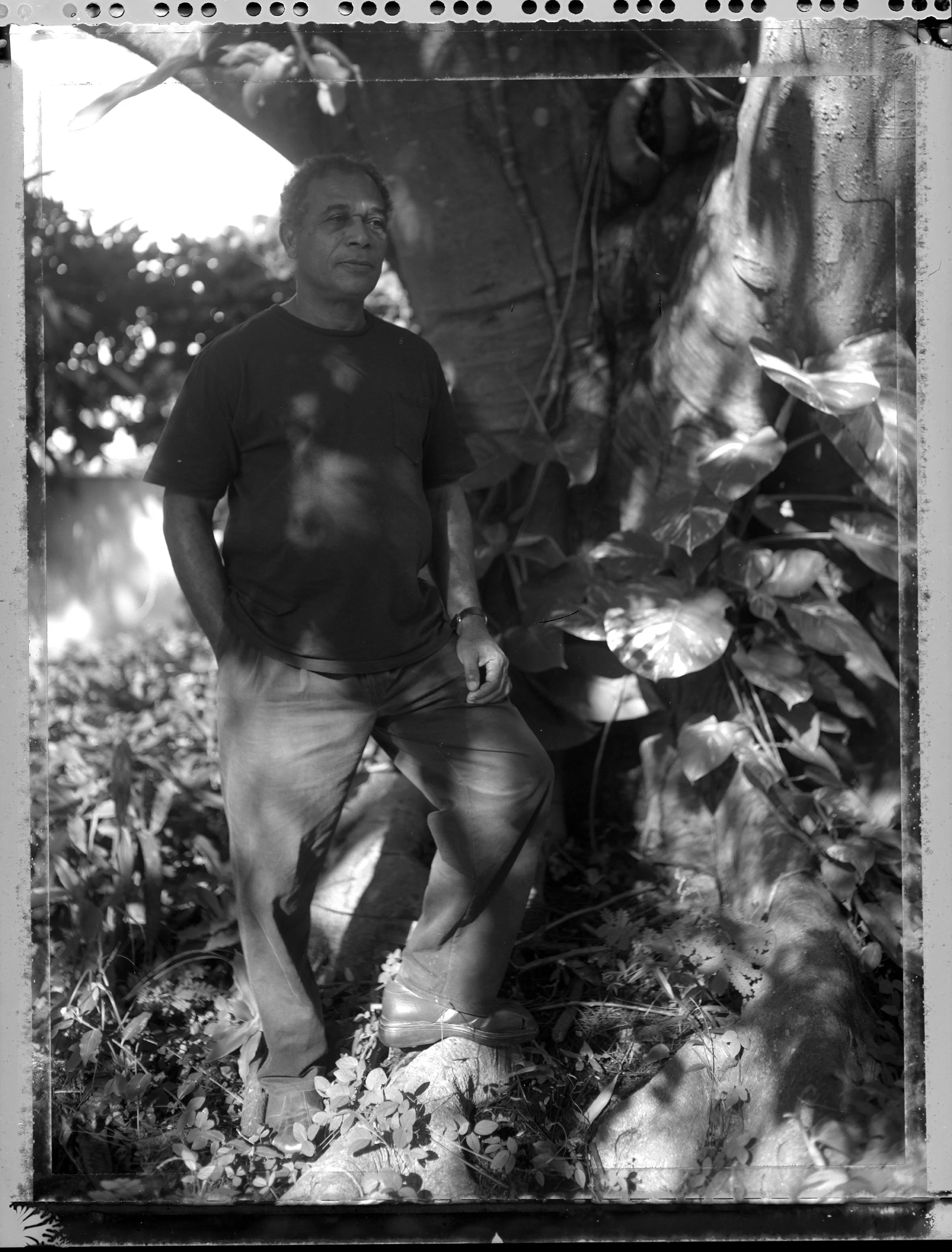 Milton Harley, 2002