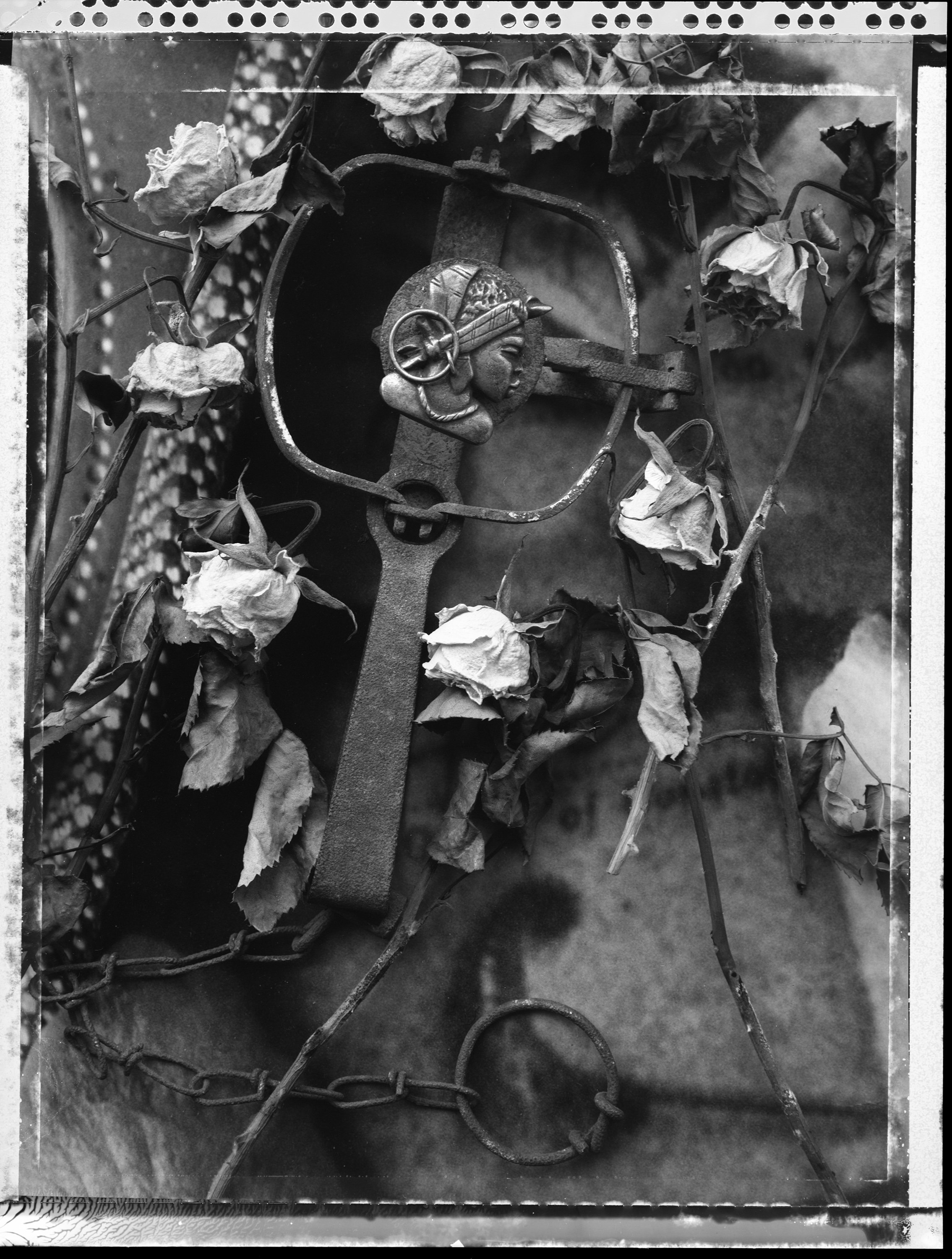 Broach & Trap, 2002