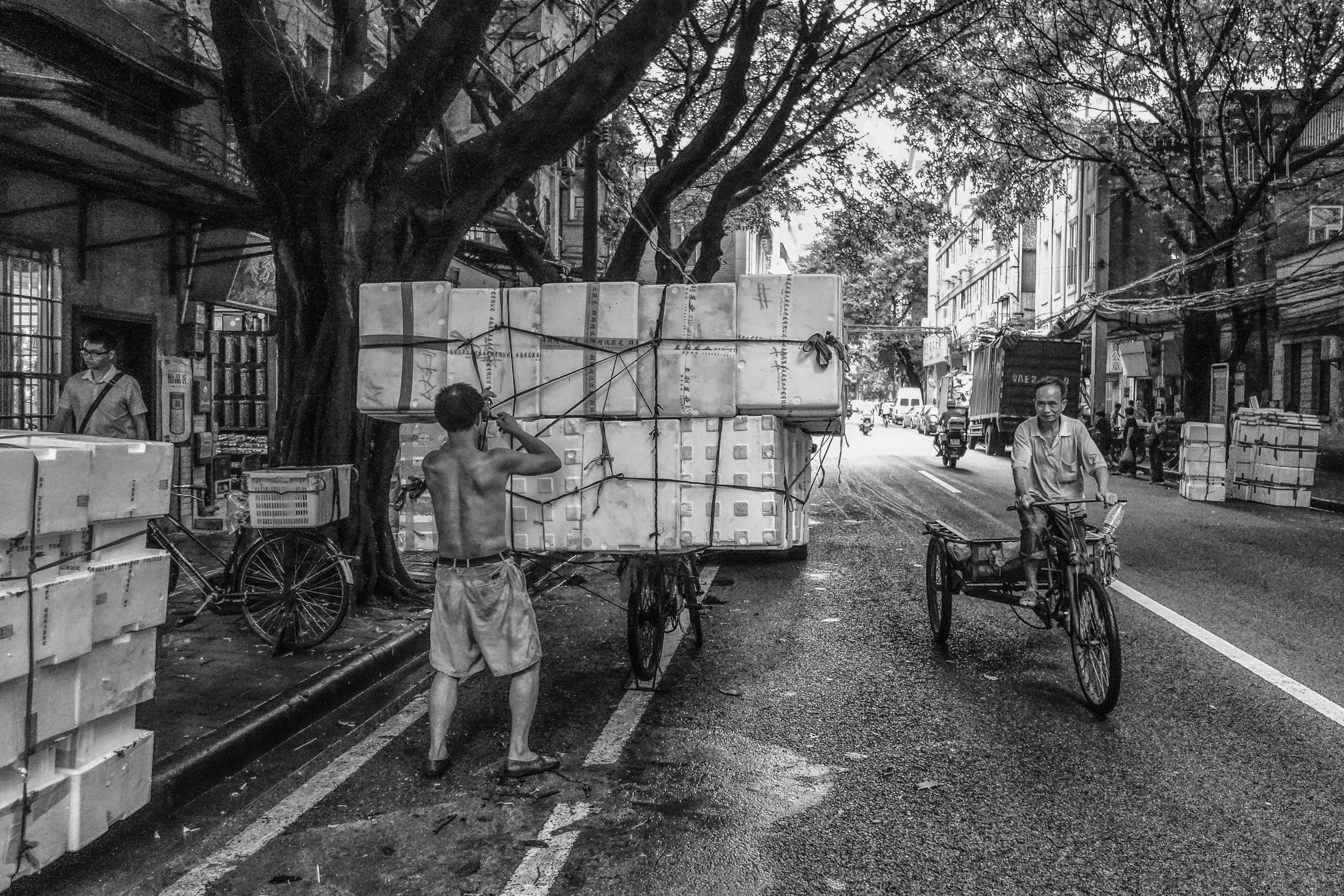 DSC03831-Edit.jpg