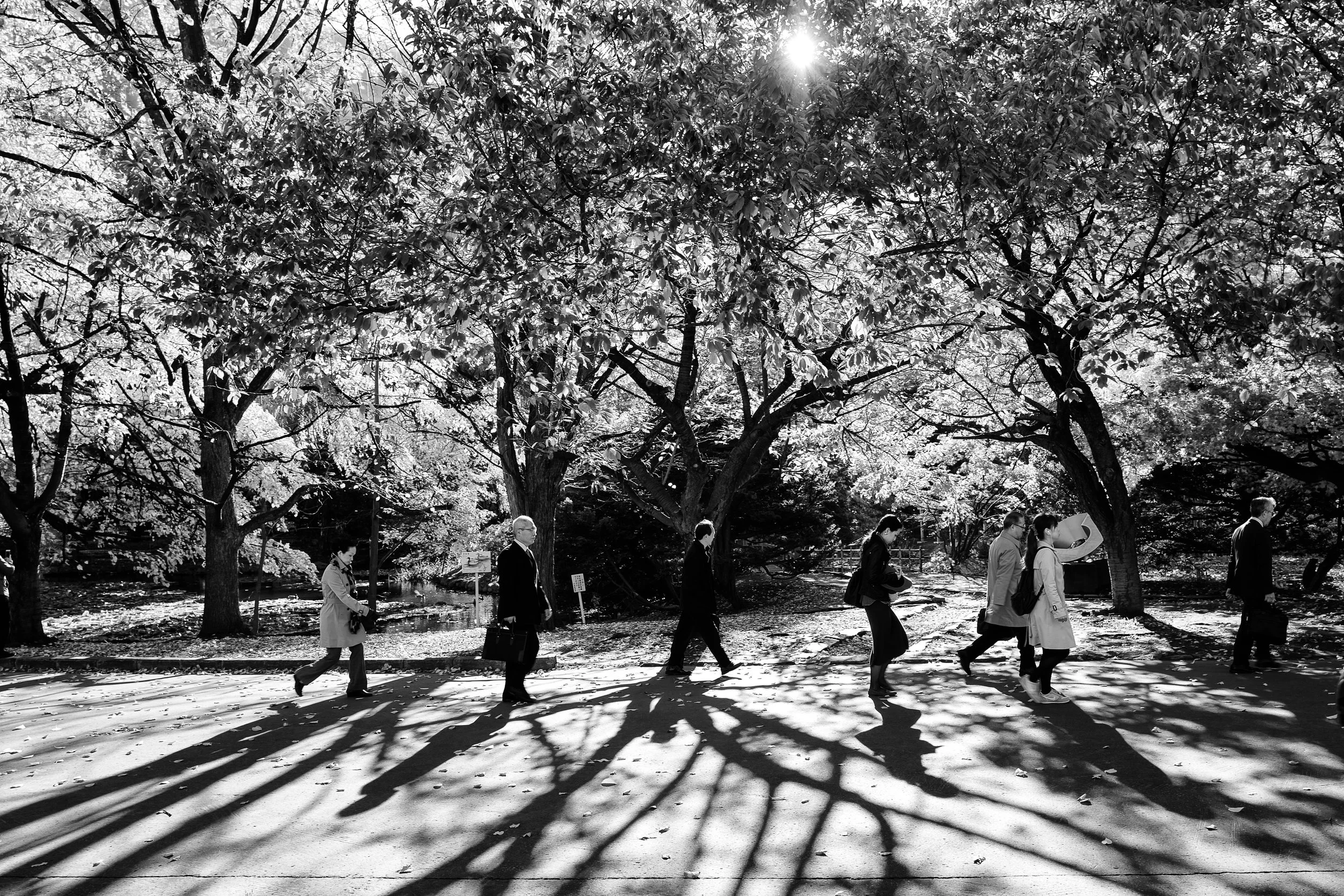 L1000239-Edit-3.jpg
