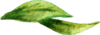 Webp.net-resizeimage.png