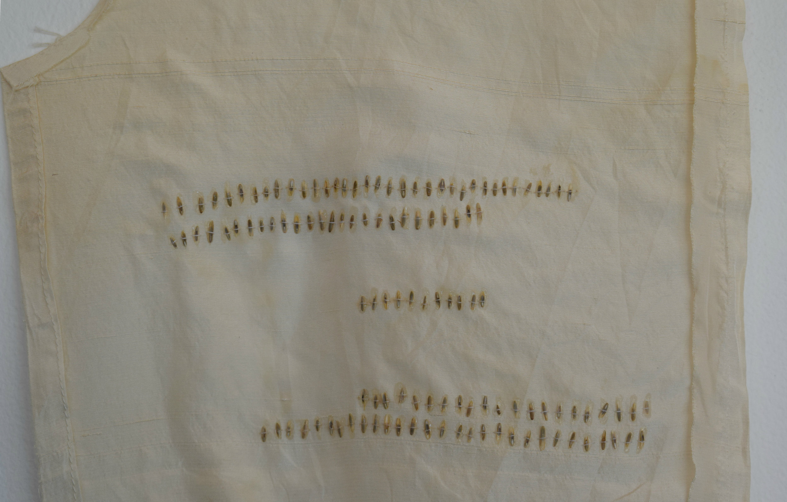 grain details symbiosis 2017.jpg