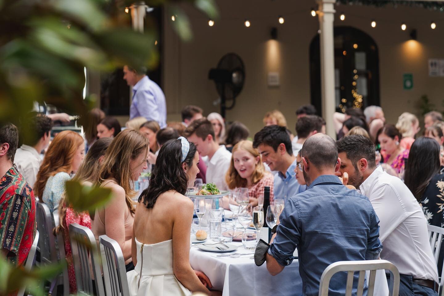 Dinner perfection in the Treasury 1860 courtyard! 

Photo by @createwithfrankie 

#dinnertime #dinnerunderthestars #courtyardgarden #outdoordining #adelaidefoodie #adelaideloves #adelaidefringe #adelaidefood #adelaiderestaurants #adelaidemums #adelai