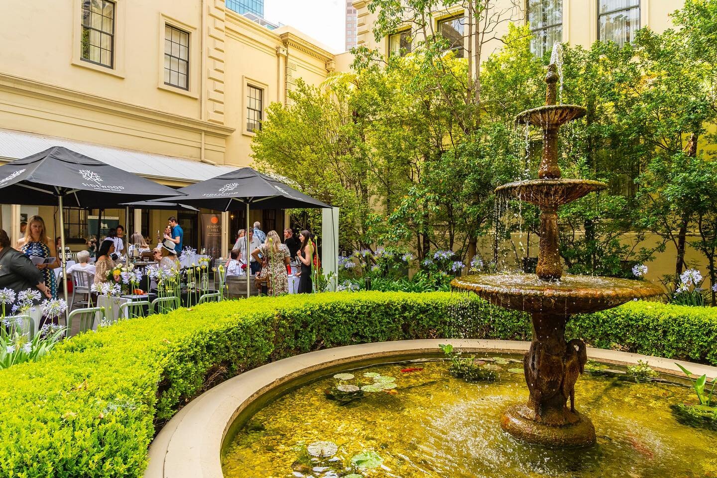 Courtyard magic! ✨
The Treasury 1860 courtyard - a hidden oasis in the heart of the city. 🌿

@satourismcommission @glamadelaide 

#adelaide #adelaidefoodie #adelaidebars #adelaideloves #adelaidebusiness #gototown #adelaidedrink #adelaidecoffee #adel