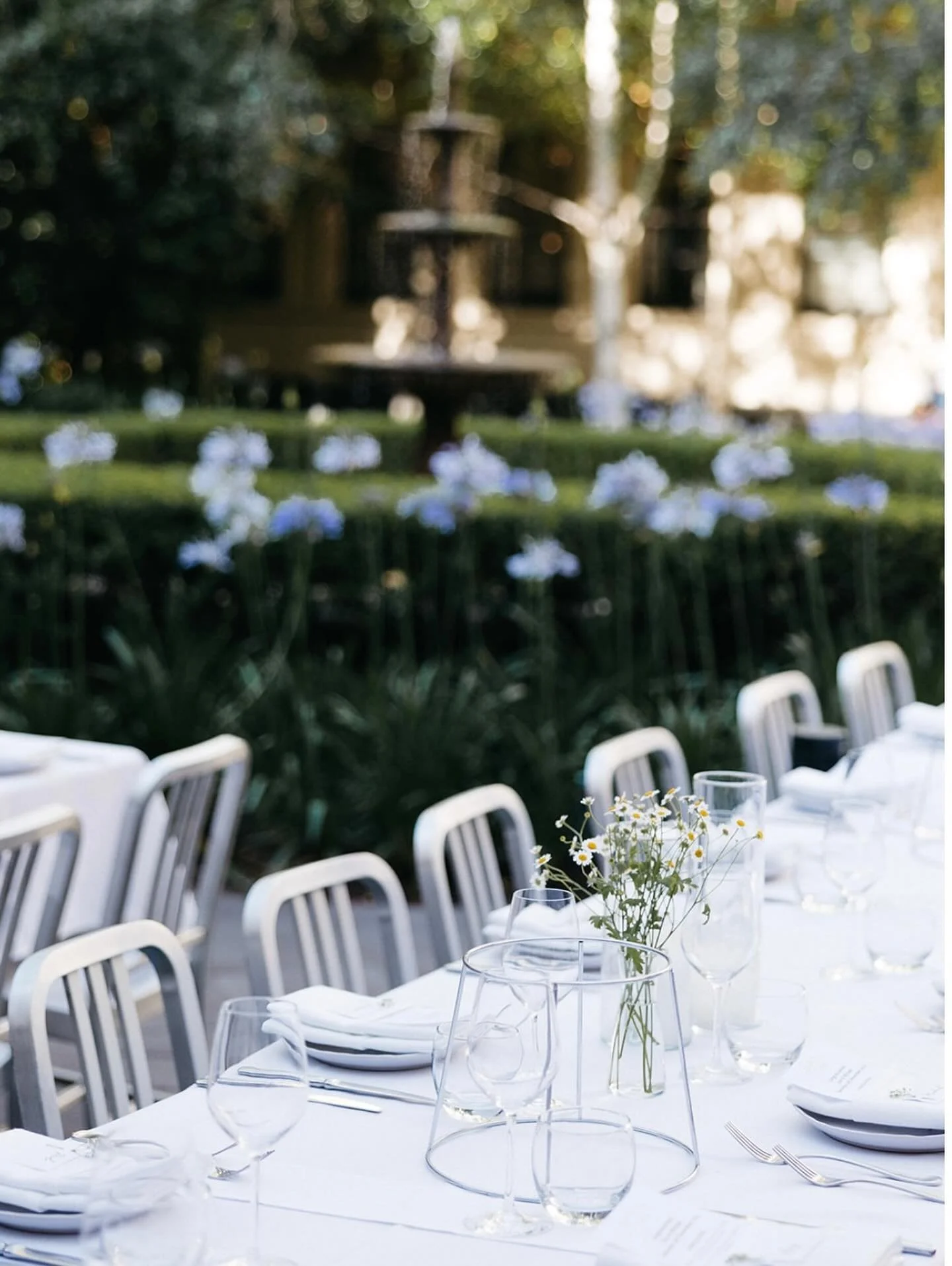 The agapanthus&rsquo;s have started to bloom! Just in time for the festive season!
Need a last minute booking- we have a very small handful of dates available, including Friday the 21st November.
Email functions@treasury1860.com.au to find out more!
